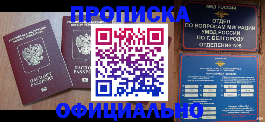 найти адрес прописки в Шлиссельбурге